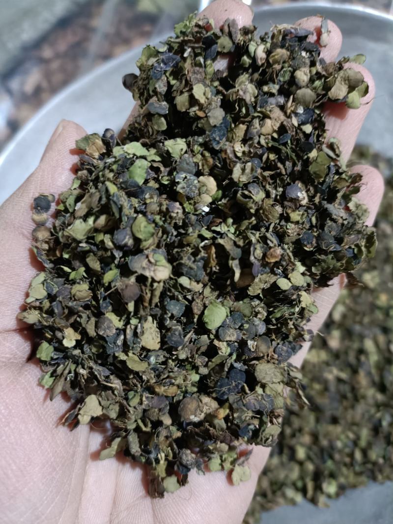 浮萍浮萍草青浮萍青萍统货佳佳药业供应各种中药材