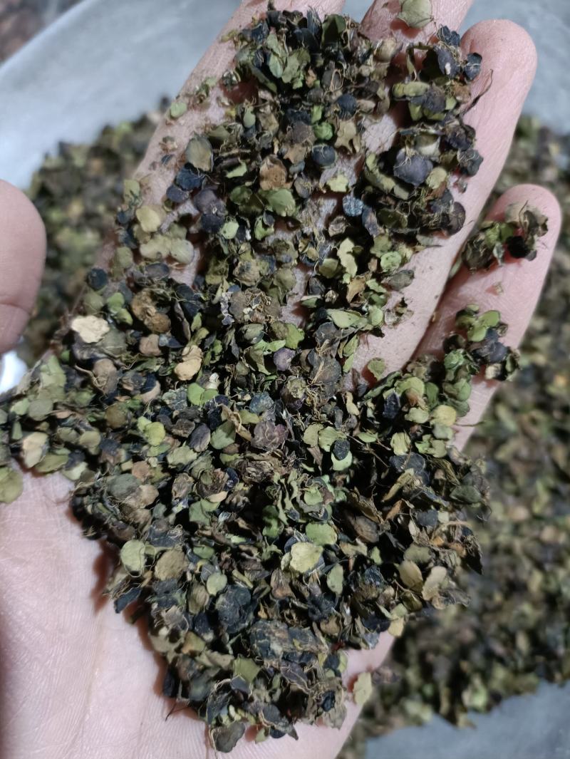 浮萍浮萍草青浮萍青萍统货佳佳药业供应各种中药材