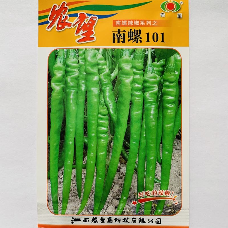 好吃的辣椒品种农望南螺101杂交一代特色皱皮线椒种子