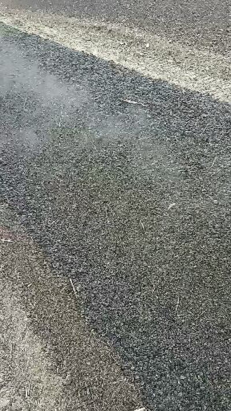 发酵羊粪