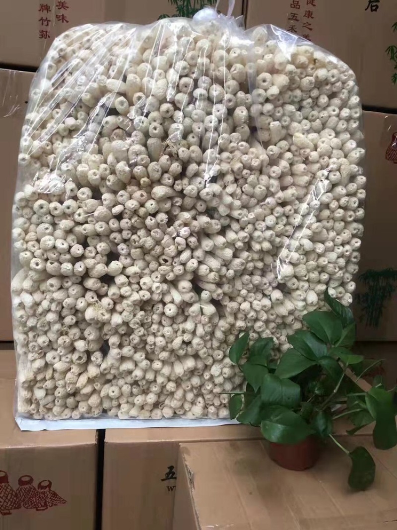 散装长裙竹荪/网菇/产地直销，重量随意定制每件1斤到10