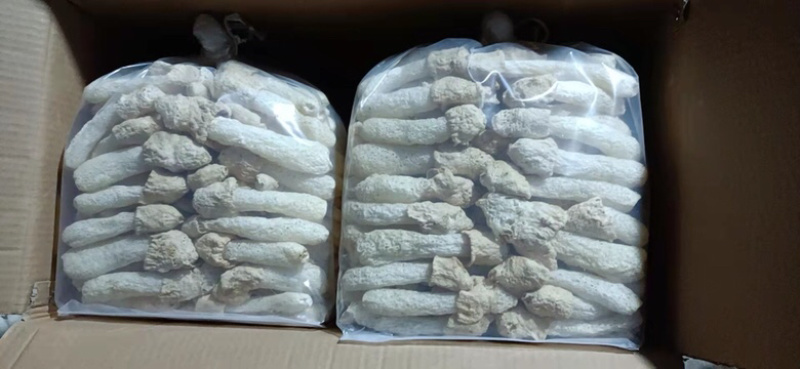 500克包装竹荪球/竹荪蕾/竹荪蛋，基地直发