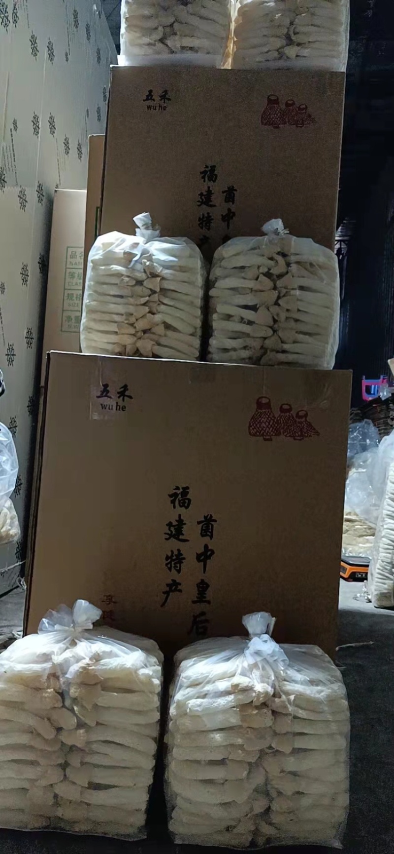 500克包装竹荪球/竹荪蕾/竹荪蛋，基地直发