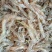 广东河虾小虾大虾中虾小河虾草虾石虾广东河虾