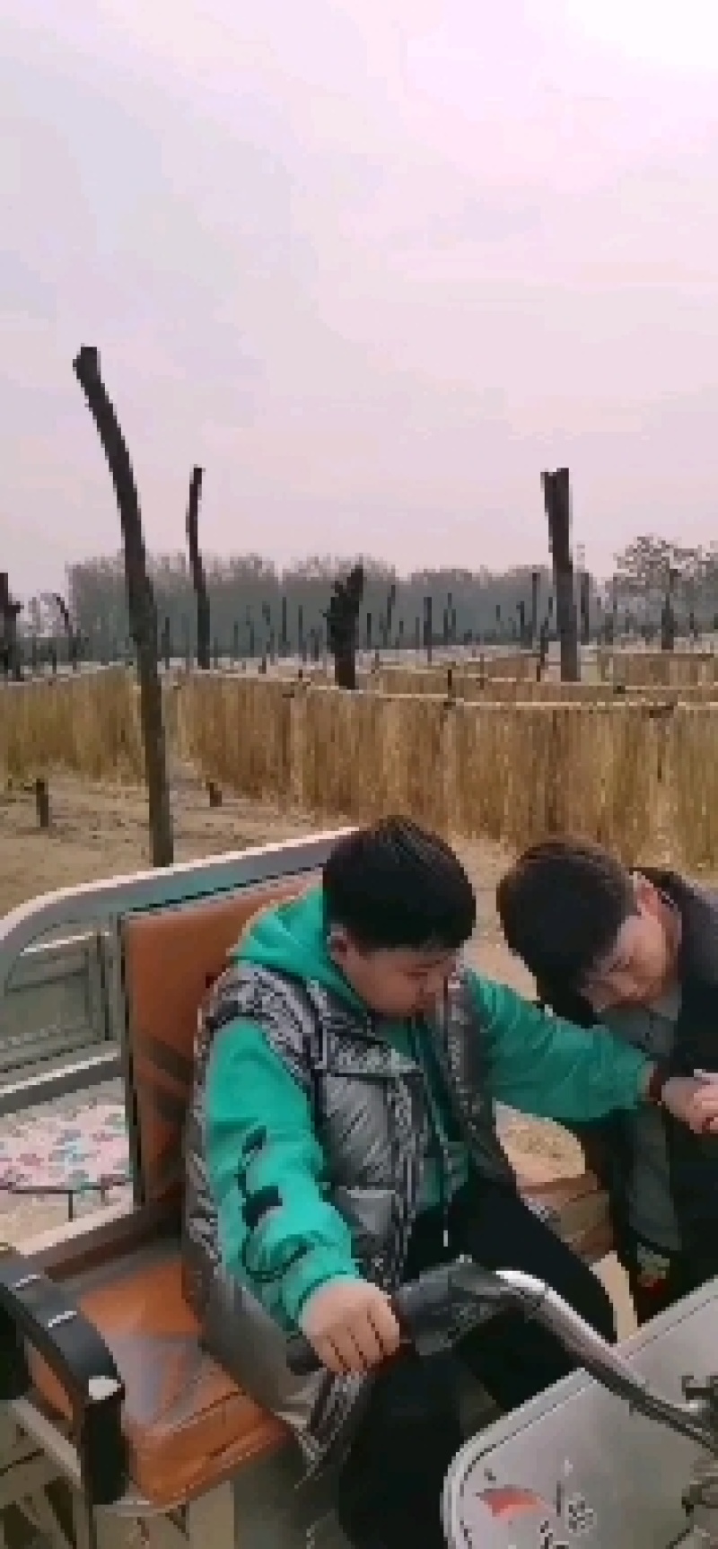 红薯粉条