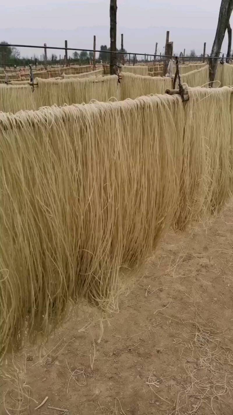 红薯粉条