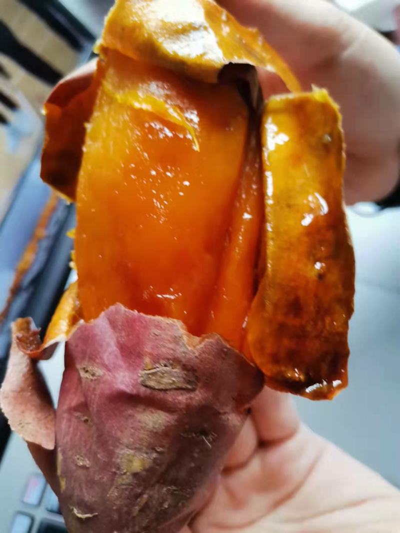 乐陵市红薯