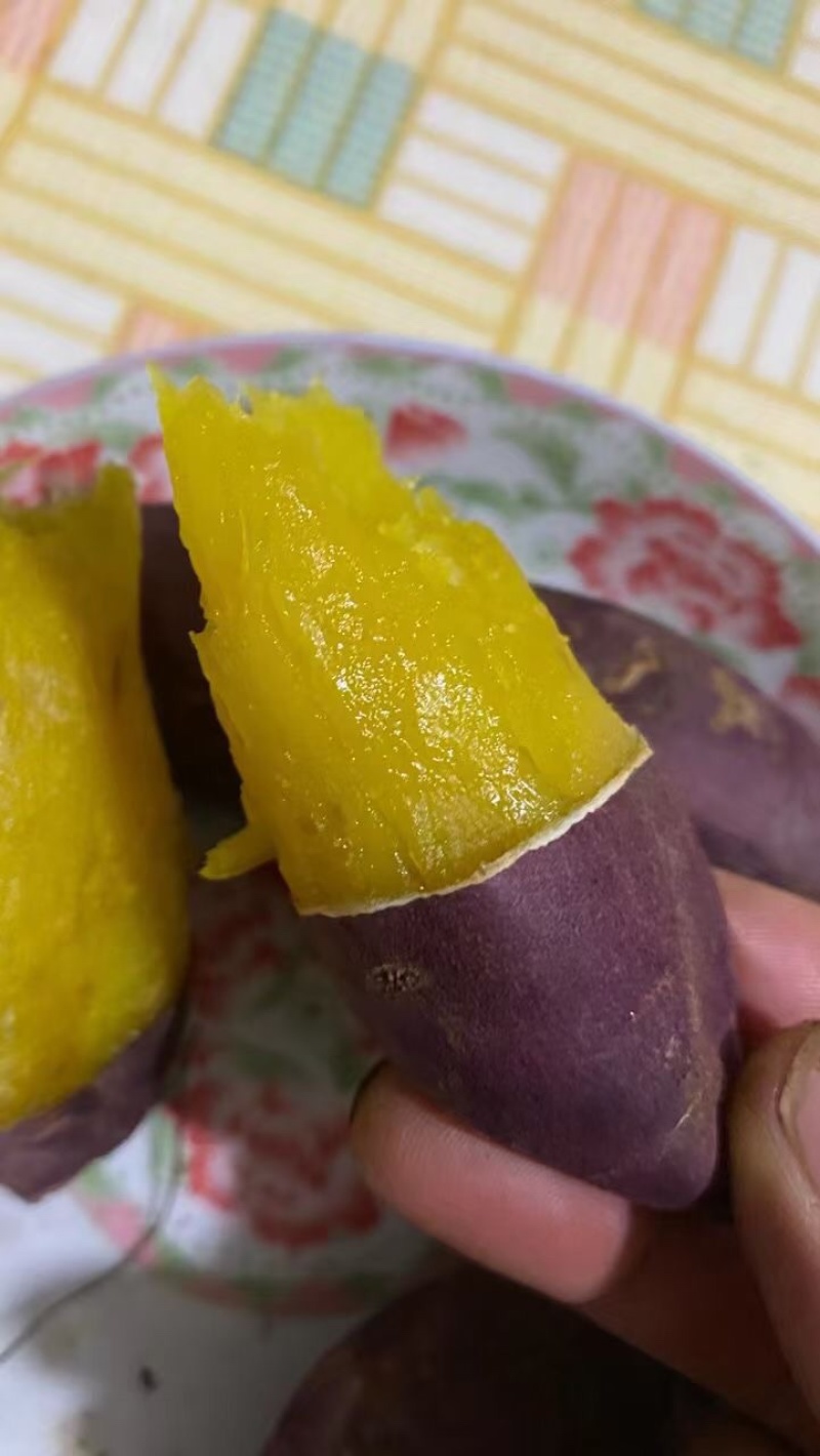 高端蜜薯玛莎莉，山东农家沙土地自种，大量供应