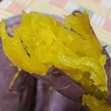 高端蜜薯玛莎莉，山东农家沙土地自种，大量供应
