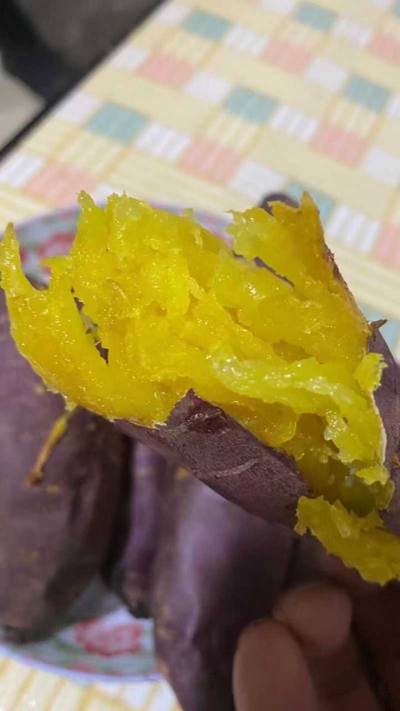 高端蜜薯玛莎莉，山东农家沙土地自种，大量供应