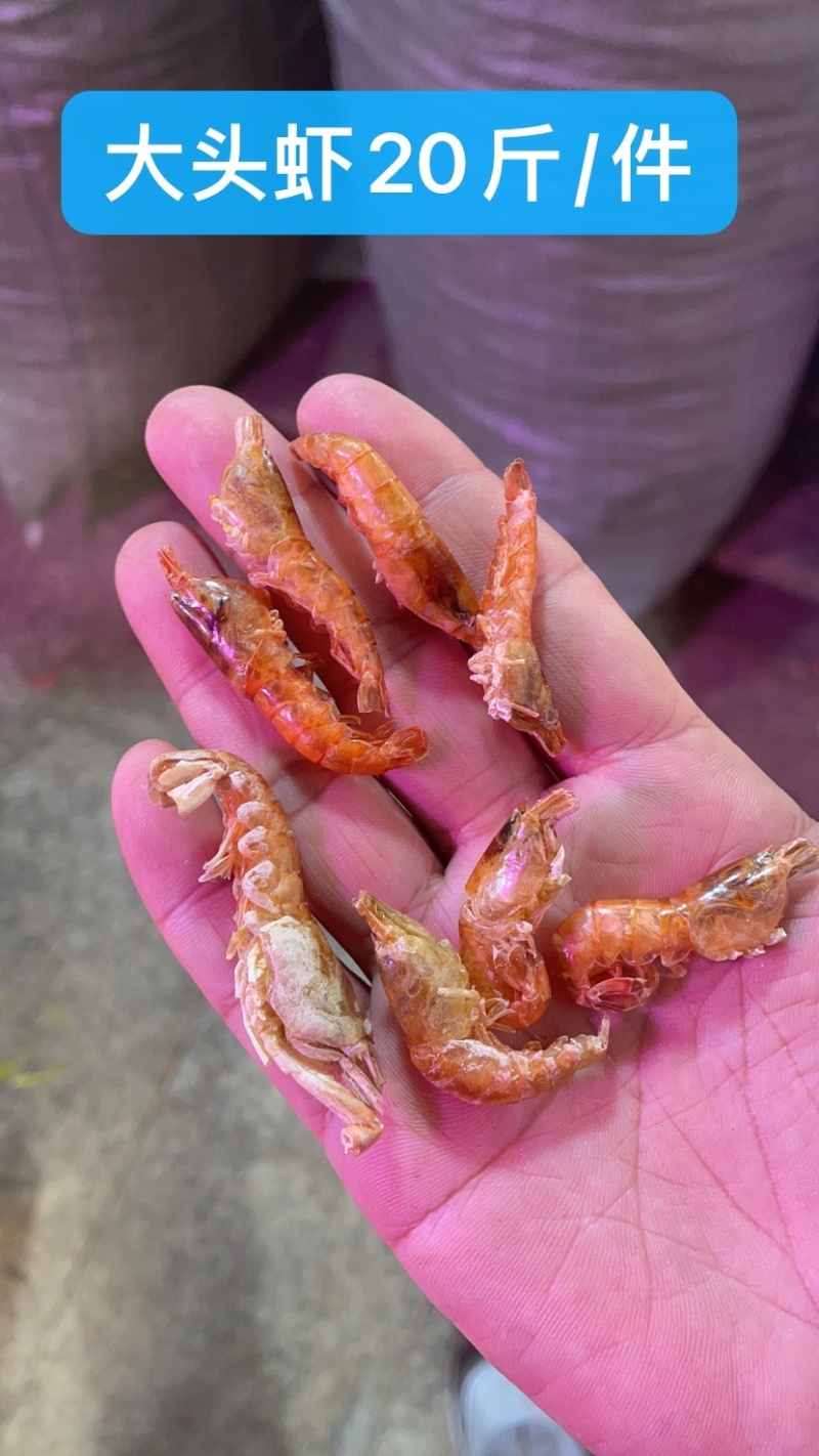 大头虾夹板虾大红虾无盐虾干