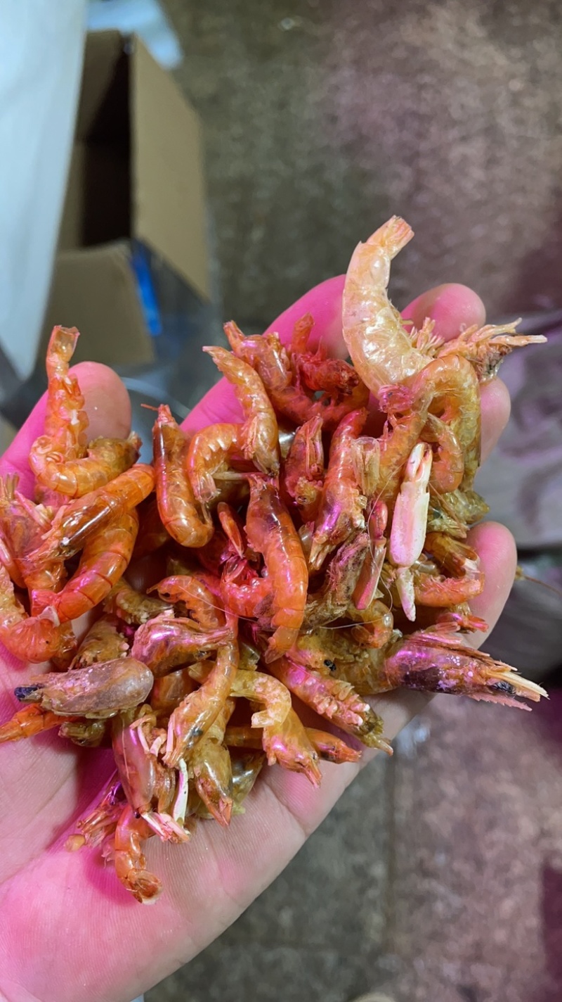 大头虾夹板虾大红虾无盐虾干