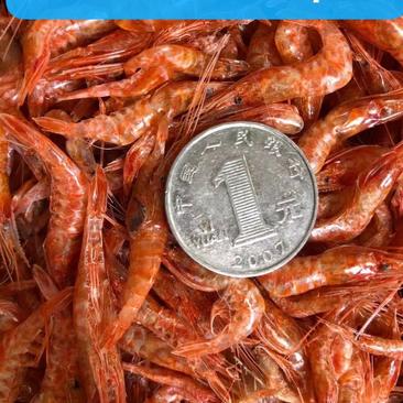 大红虾虾干红虾干4公分原产地发货一件20斤