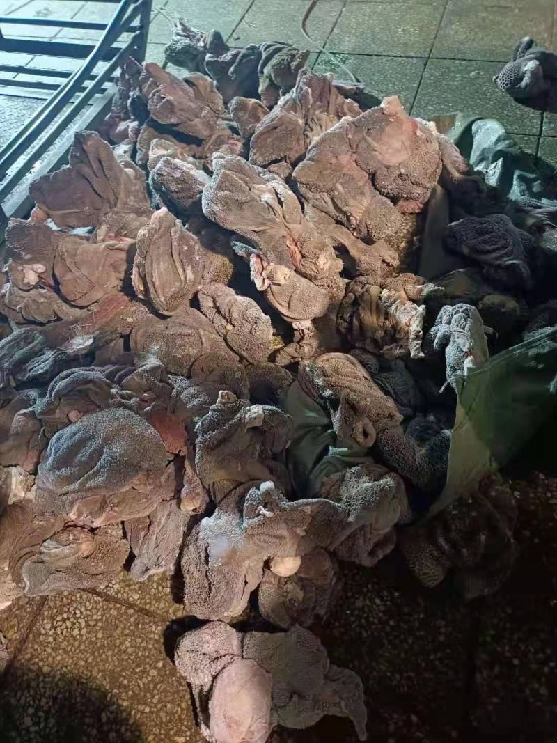 熟羊毛肚草原直供草地羊毛肚质量保障量大从优基地直发