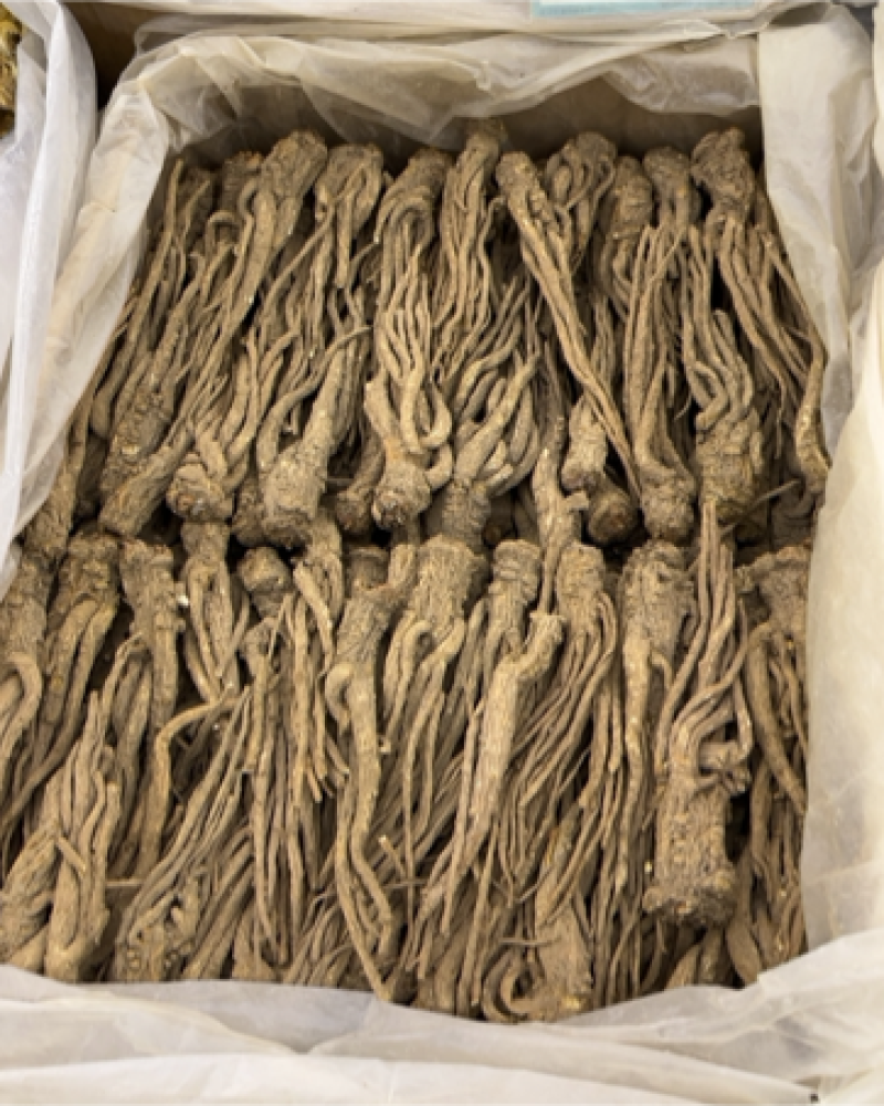当归大货供应，各种规格欢迎你的选购，量大从优！
