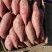 【红薯】正宗烟薯25软糯香甜现挖现发货源充足