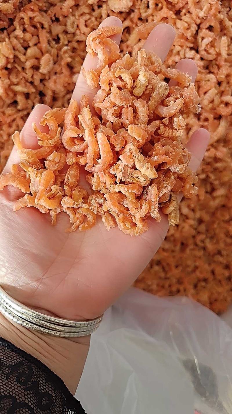 金钩海米，自家加工的，质量非常好，大量批发，有咸度