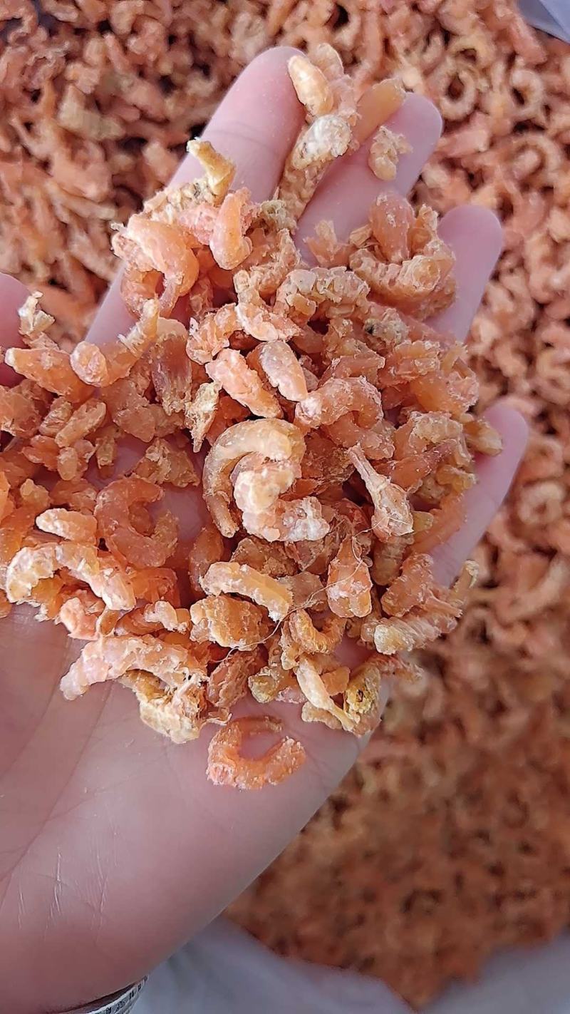 金钩海米，自家加工的，质量非常好，大量批发，有咸度
