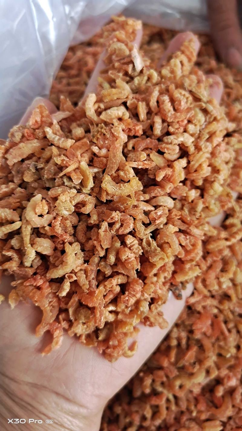 金钩海米，自家加工的，质量非常好，大量批发，有咸度