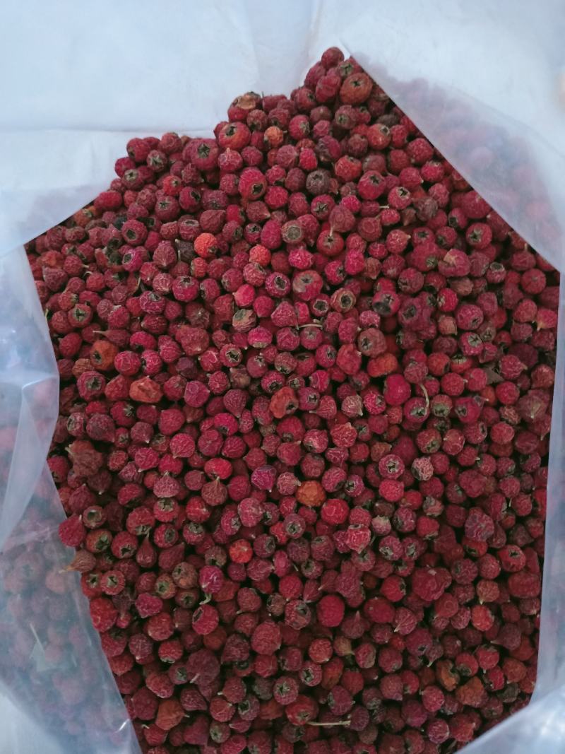 火棘果，中药材救军粮火把果水杈子欢迎咨询选购！