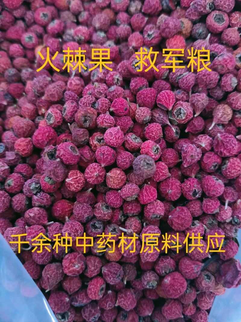 火棘果，中药材救军粮火把果水杈子欢迎咨询选购！