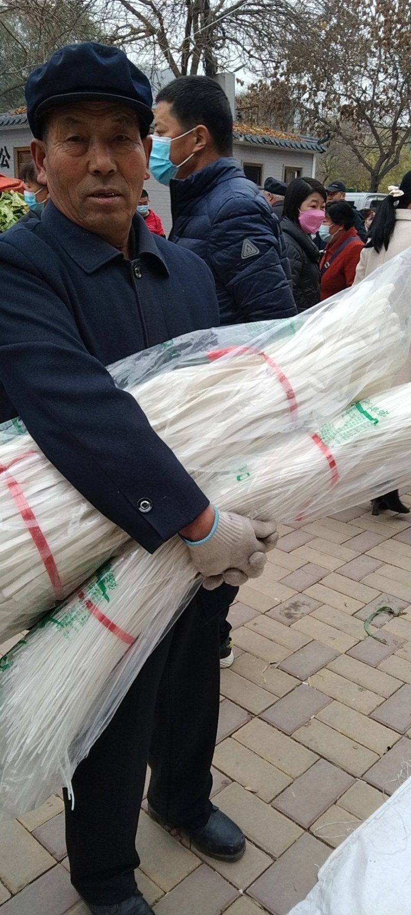 定西宽粉，纯土豆粉条，量大从优，长年有货，不含明胶