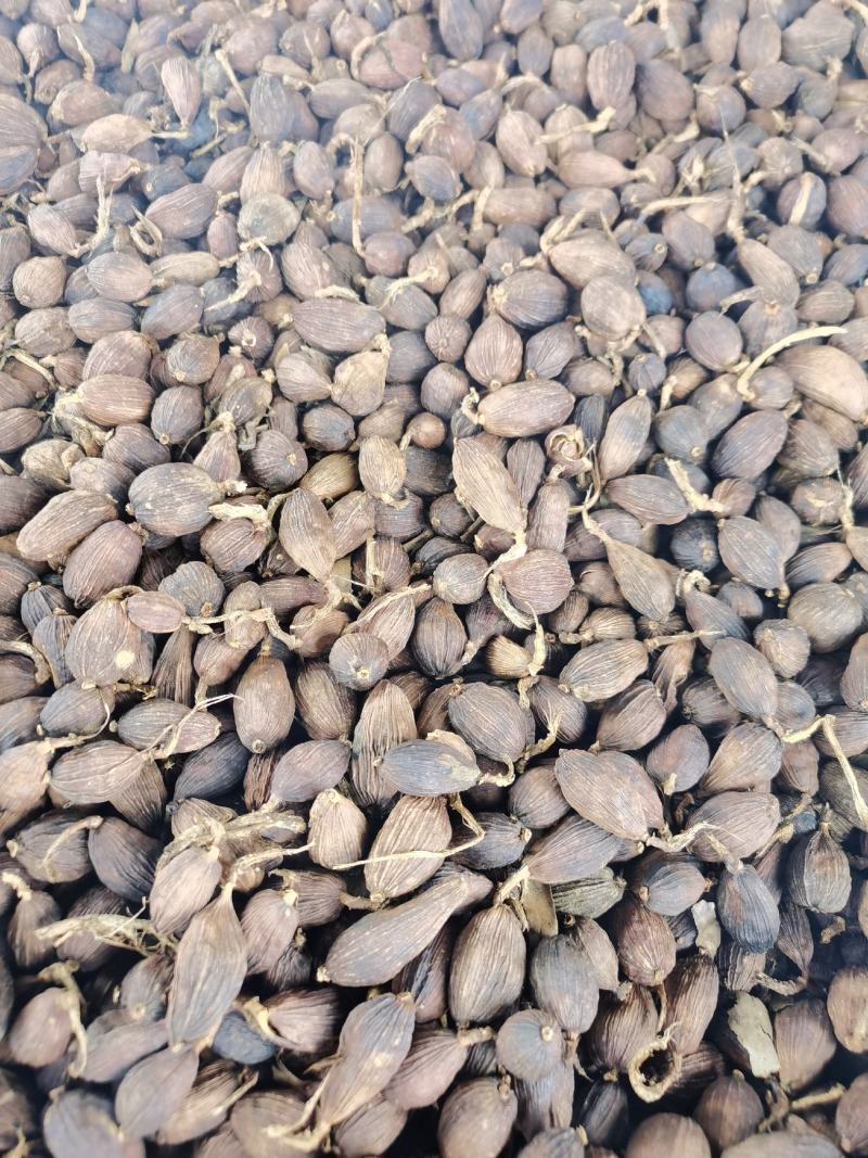 草果云南腾冲草果干货，烟熏果