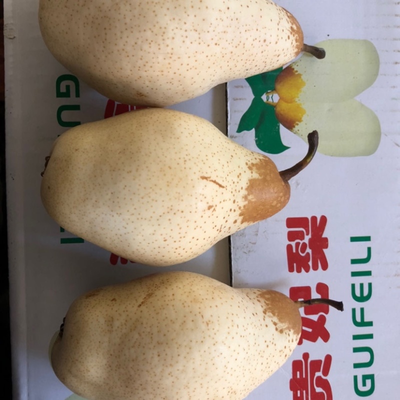 （精选）贵妃梨大量上市货源充足质量有保证实力代办