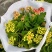 长寿花盆栽租摆花卉批发价格四季开花颜色齐全