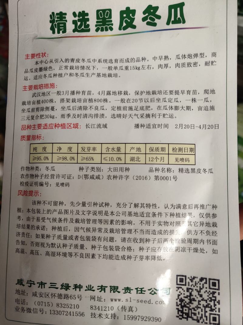 精选良种黑皮冬瓜种子，单瓜重15公斤左右，