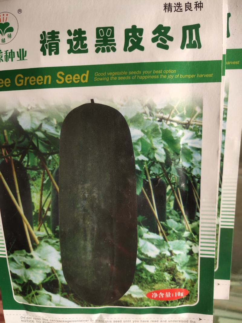 精选良种黑皮冬瓜种子，单瓜重15公斤左右，