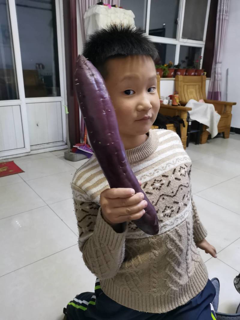 精品红薯出售