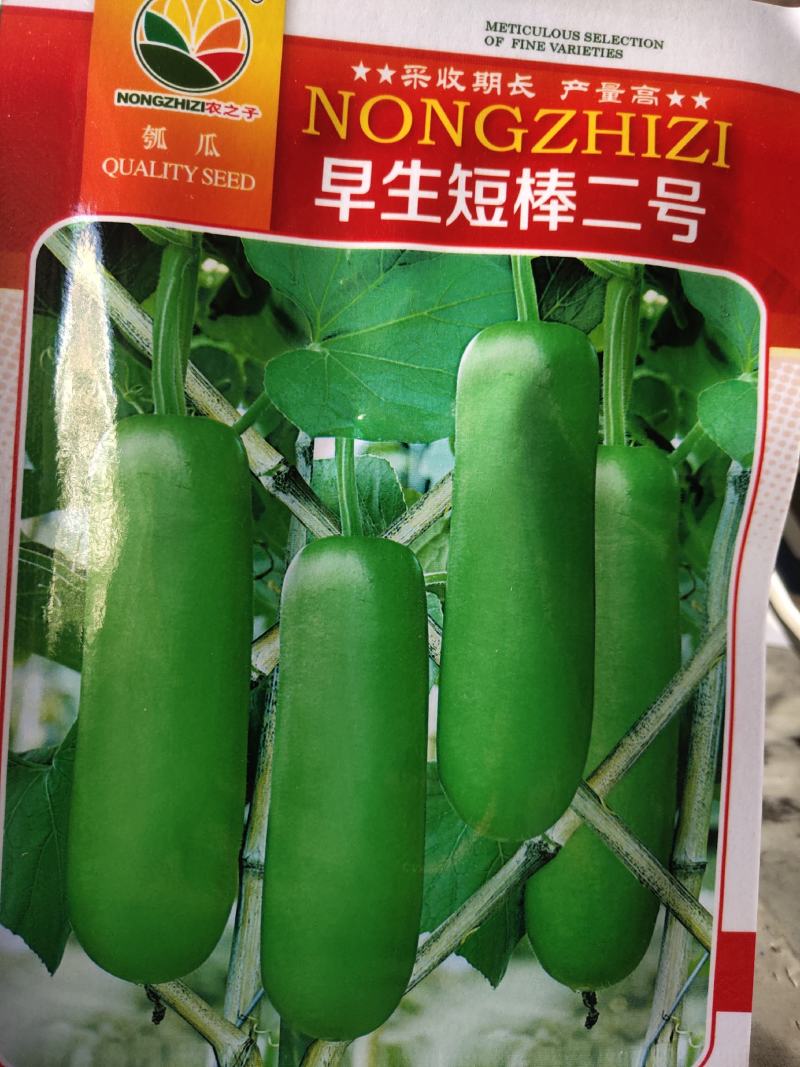 早生短棒二号胡子种子早中熟，