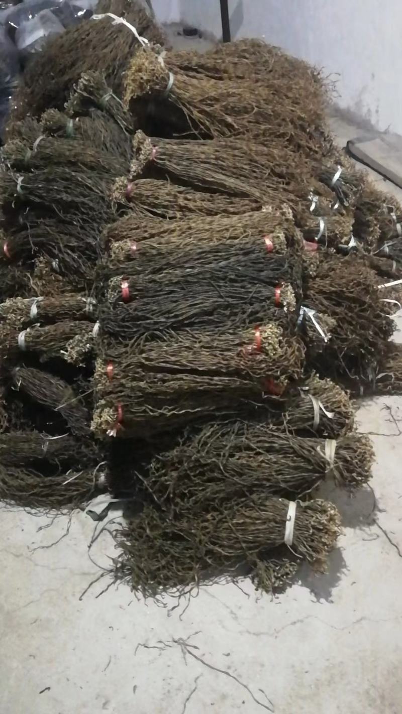特级干豇豆农家干豆角绿豆角一件也批发量大从优