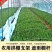 玻璃纤维棒玻璃刚棒实心弹性小拱棚支架骨架硬棒塑料圆棒拱杆