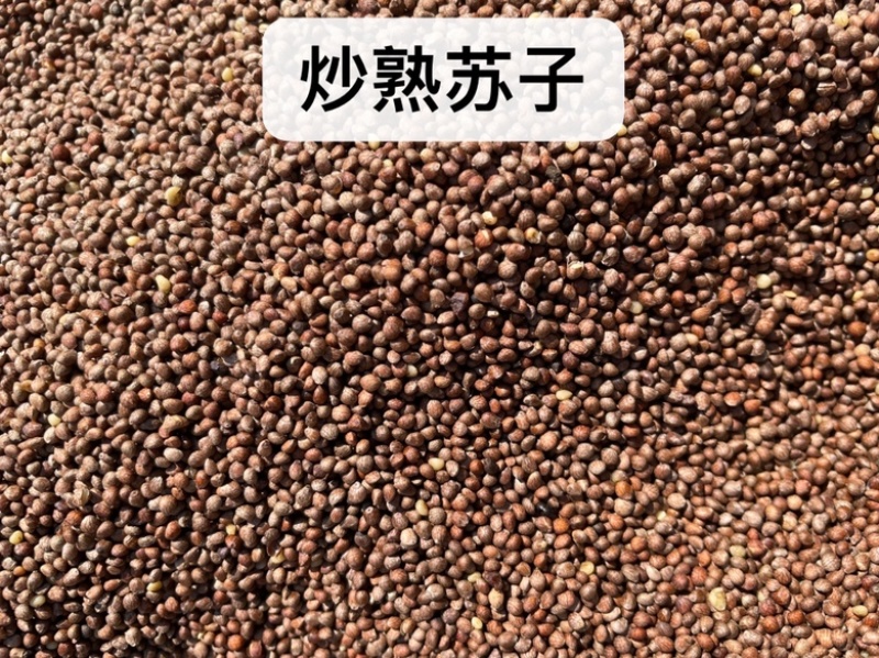 苏子紫苏子正宗无硫紫苏子饱满一件包邮批发价