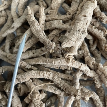 远志老特纯456远志肉抽芯抽芯率特高