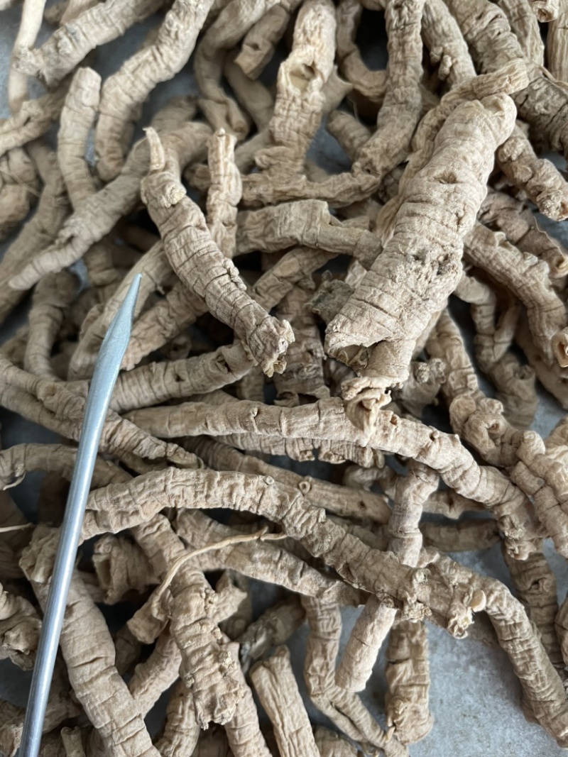 远志老特纯456远志肉抽芯抽芯率特高