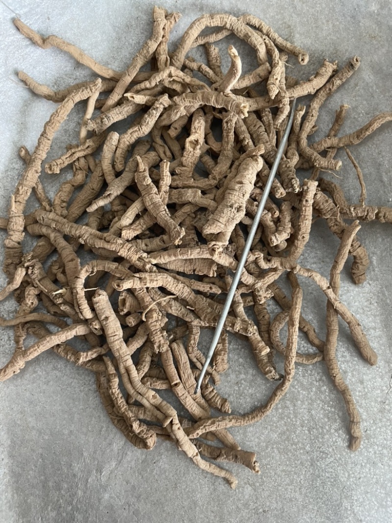 远志老特纯456远志肉抽芯抽芯率特高
