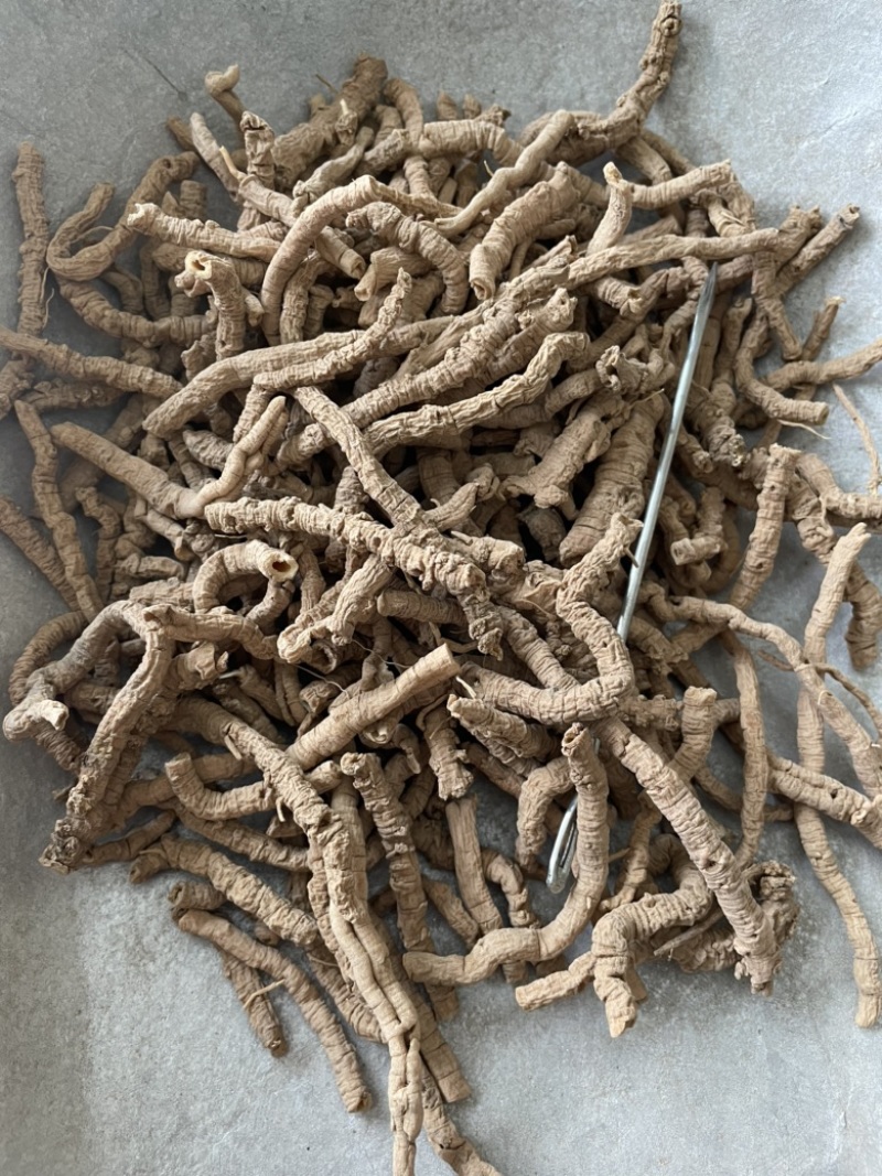 远志老特纯456远志肉抽芯抽芯率特高