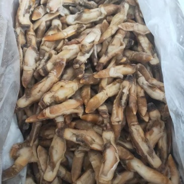新鲜冷冻蛏王肉竹蛏肉蛏子肉现剥手指蛏肉鲜活冷冻大饱满无冰