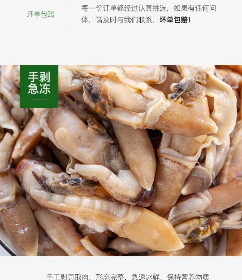新鲜冷冻蛏王肉竹蛏肉蛏子肉现剥手指蛏肉鲜活冷冻大饱满无冰