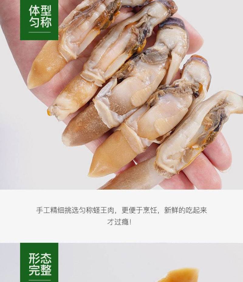 新鲜冷冻蛏王肉竹蛏肉蛏子肉现剥手指蛏肉鲜活冷冻大饱满无冰