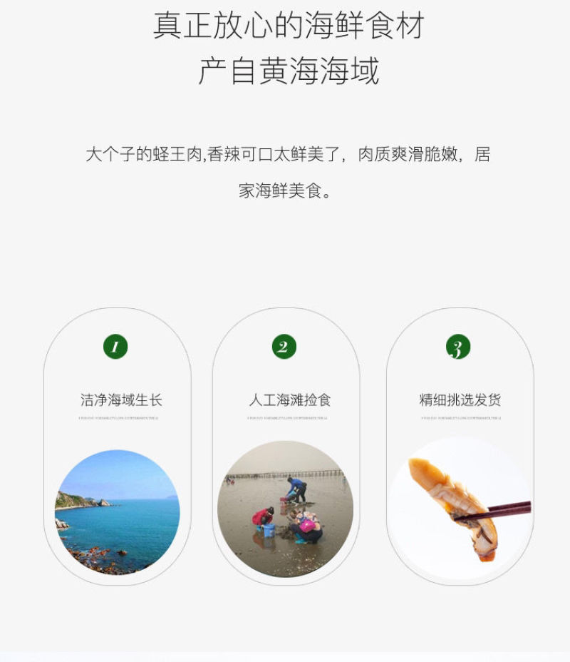 新鲜冷冻蛏王肉竹蛏肉蛏子肉现剥手指蛏肉鲜活冷冻大饱满无冰