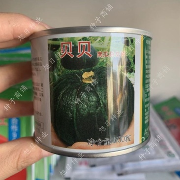 上海惠和贝贝南瓜种子，500粒