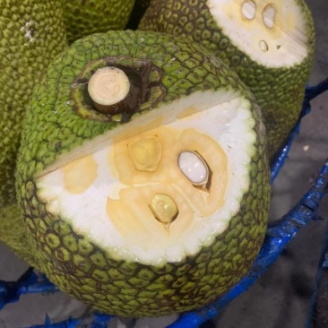 越南进口菠萝蜜