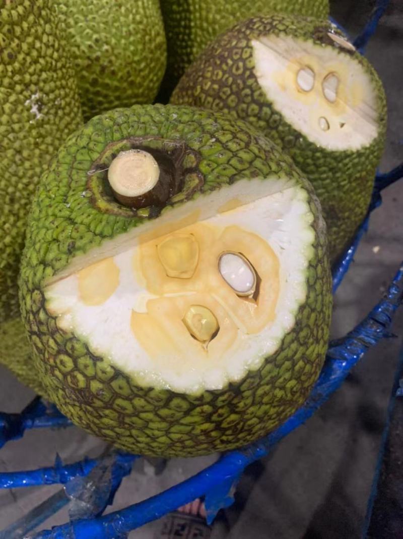 越南进口菠萝蜜