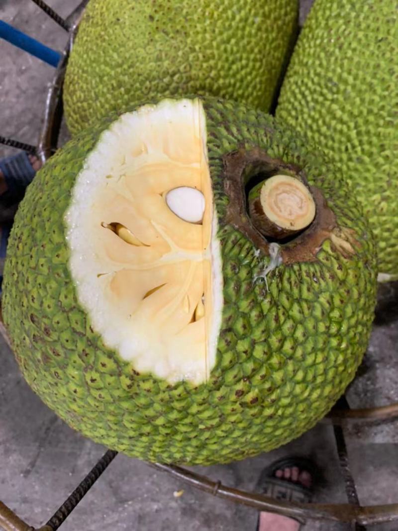 越南进口菠萝蜜