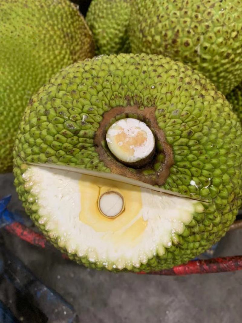 越南进口菠萝蜜