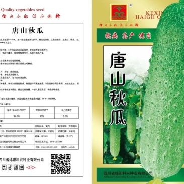 【货源充足】唐山秋瓜旱黄瓜种子品质佳味浓黄瓜种子